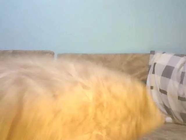 Amandacute from BongaCams