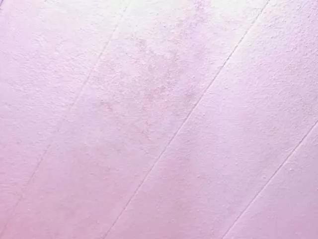 SammyMonroe from BongaCams