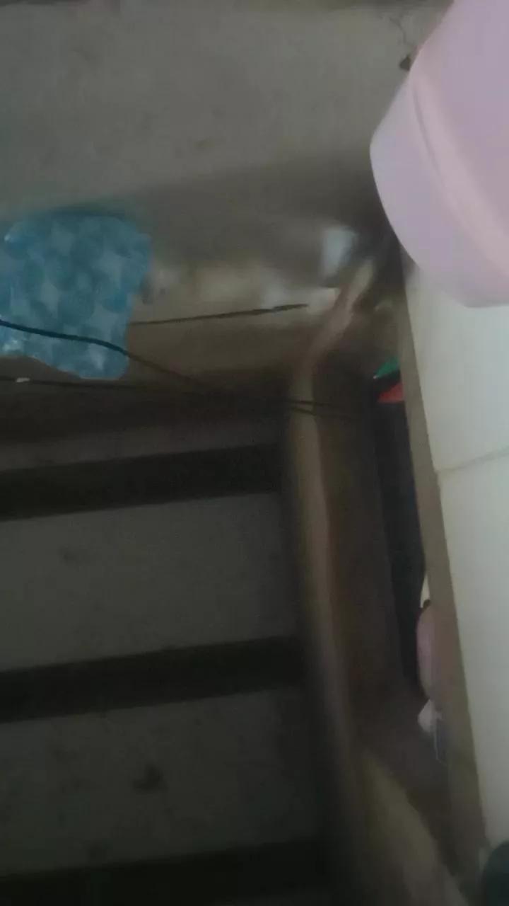 agatha6_hot from Cam4