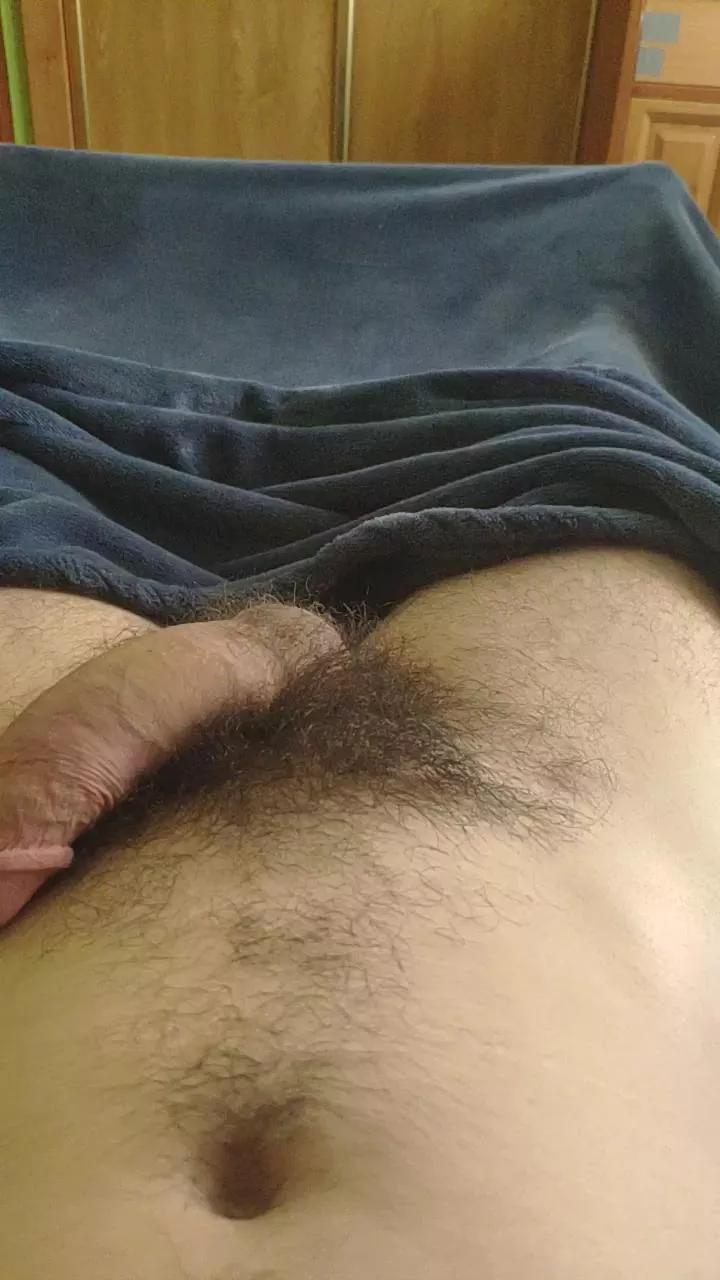 polli_play from Cam4