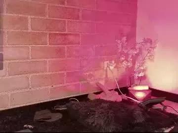 abbeey_ from Chaturbate