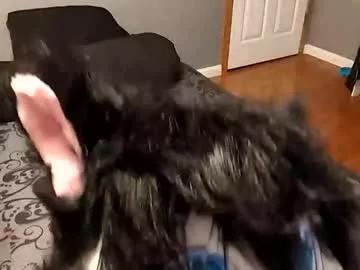 bloodmoonwolfie88 from Chaturbate