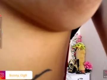 bunny__o from Chaturbate