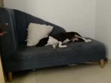 jimmy_king1 from Chaturbate