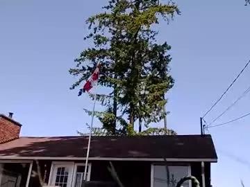 littleleo96 from Chaturbate