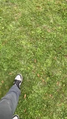 Offline lucapublic on Cam4