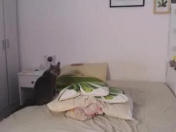 Freechat adorablekat29 on Chaturbate