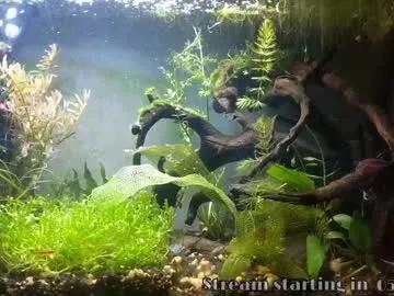 Freechat booker_baxton on Chaturbate