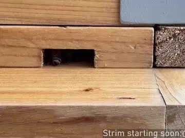 Freechat booker_baxton on Chaturbate