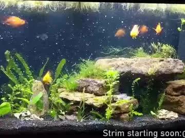 Freechat booker_baxton on Chaturbate