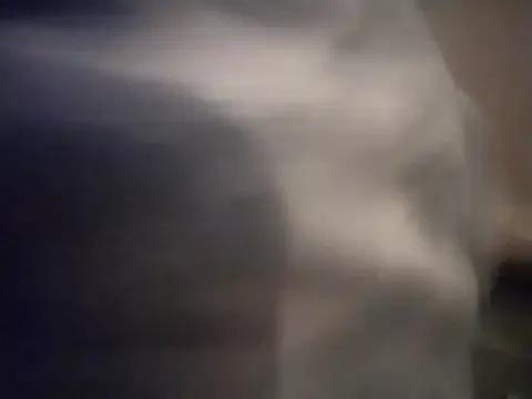 Freechat AceticPinscher on StripChat