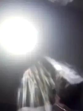 Freechat AceticPinscher on StripChat