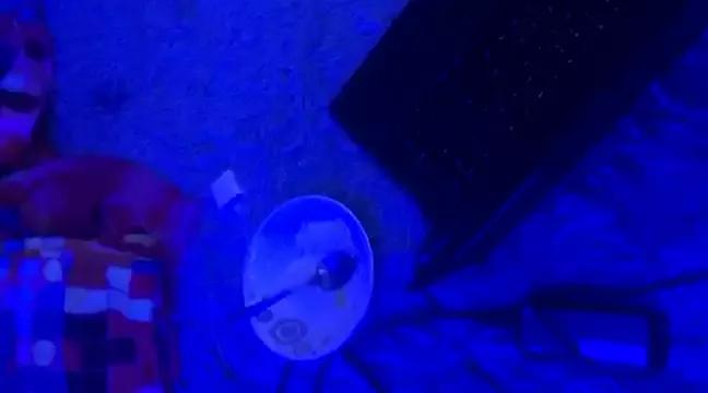 Freechat Catyloves on StripChat