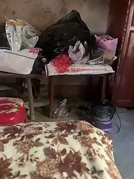 StripChat chenyu0308 is Freechat chenyu0308 — briefs