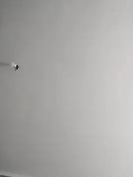 Freechat Dolcecurvy on StripChat