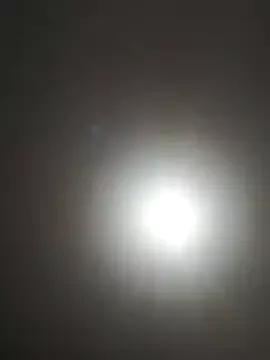 Freechat Dolcecurvy on StripChat