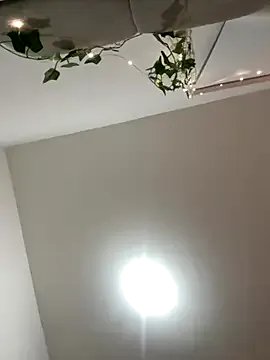 Freechat haileyhope_ on StripChat