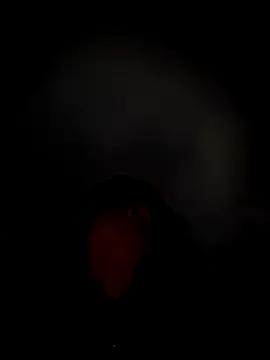 Private Hilary_pinkk on StripChat