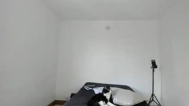 Freechat SARA_TS_FOX on StripChat