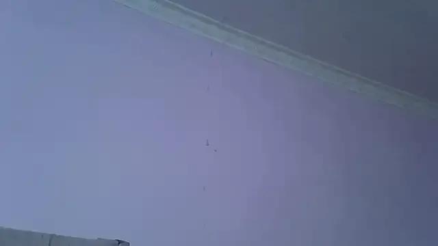 Freechat springbock56 on StripChat