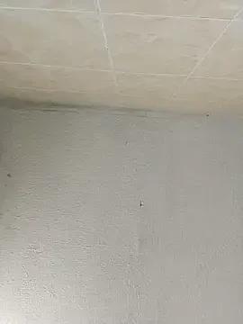 Freechat Taylorveraaa on StripChat